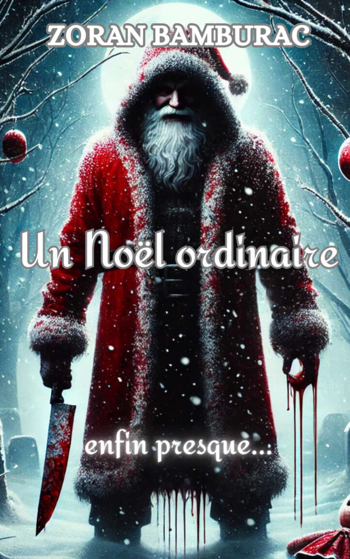 Un Noël ordinaire (French Edition)