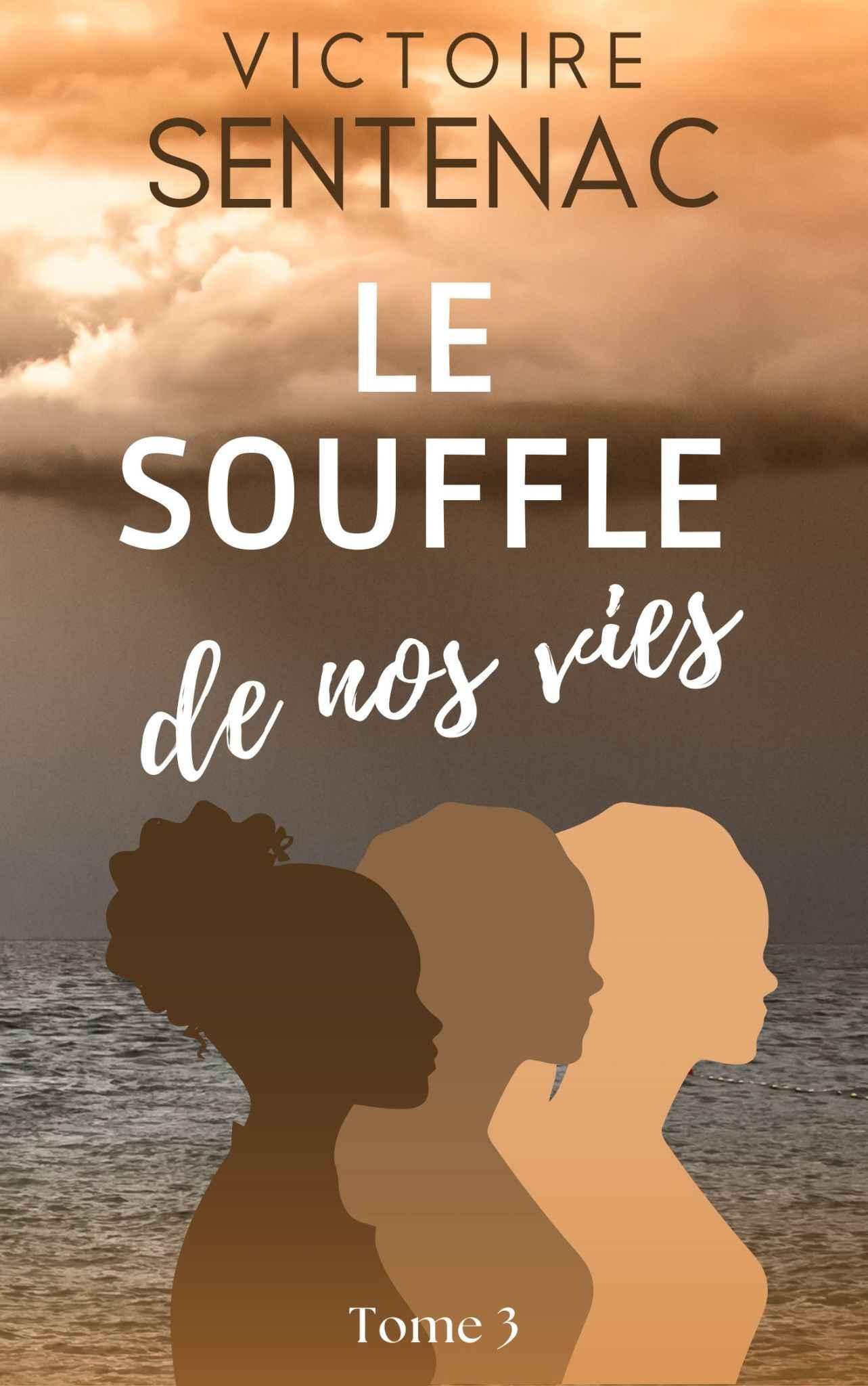 Le souffle de nos vies: Tome 3 Juste après l'orage (French Edition)