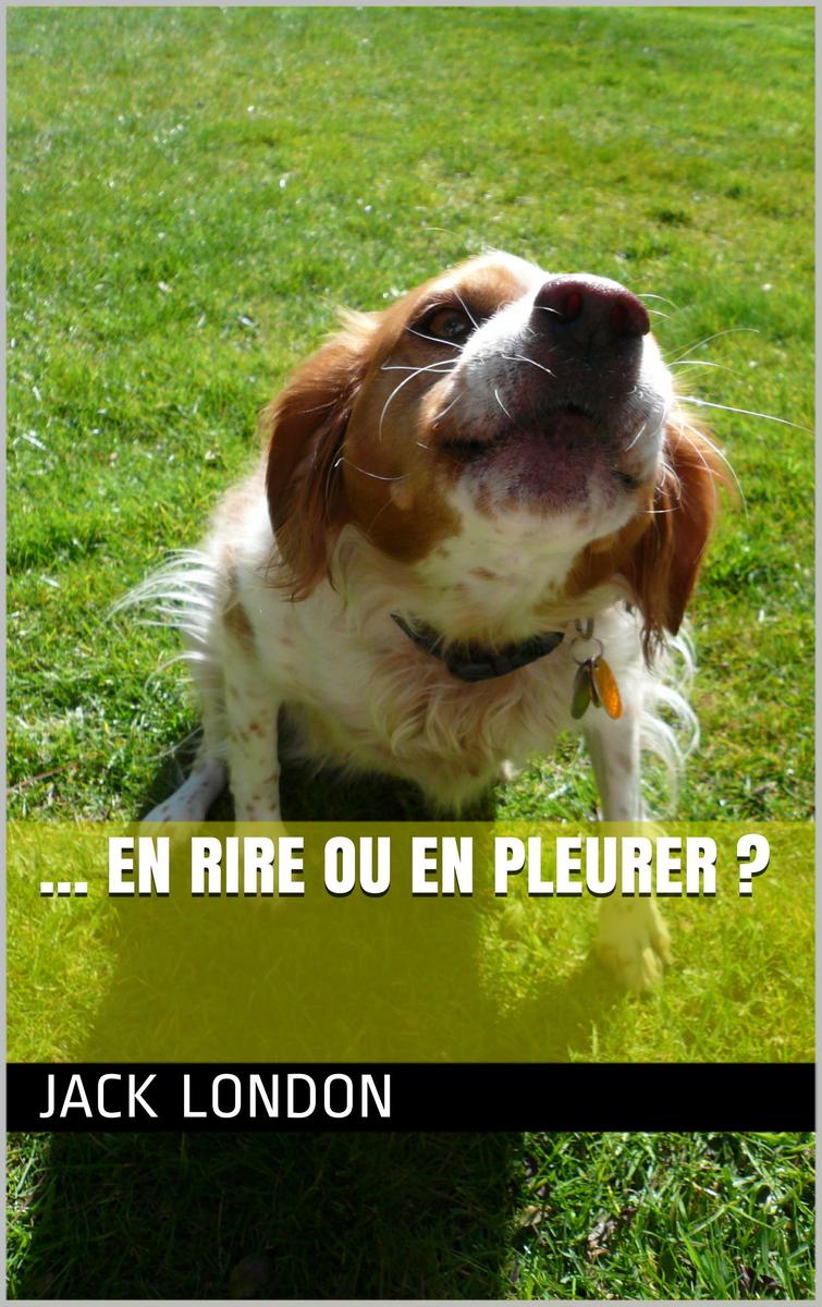 … En rire ou en pleurer ?