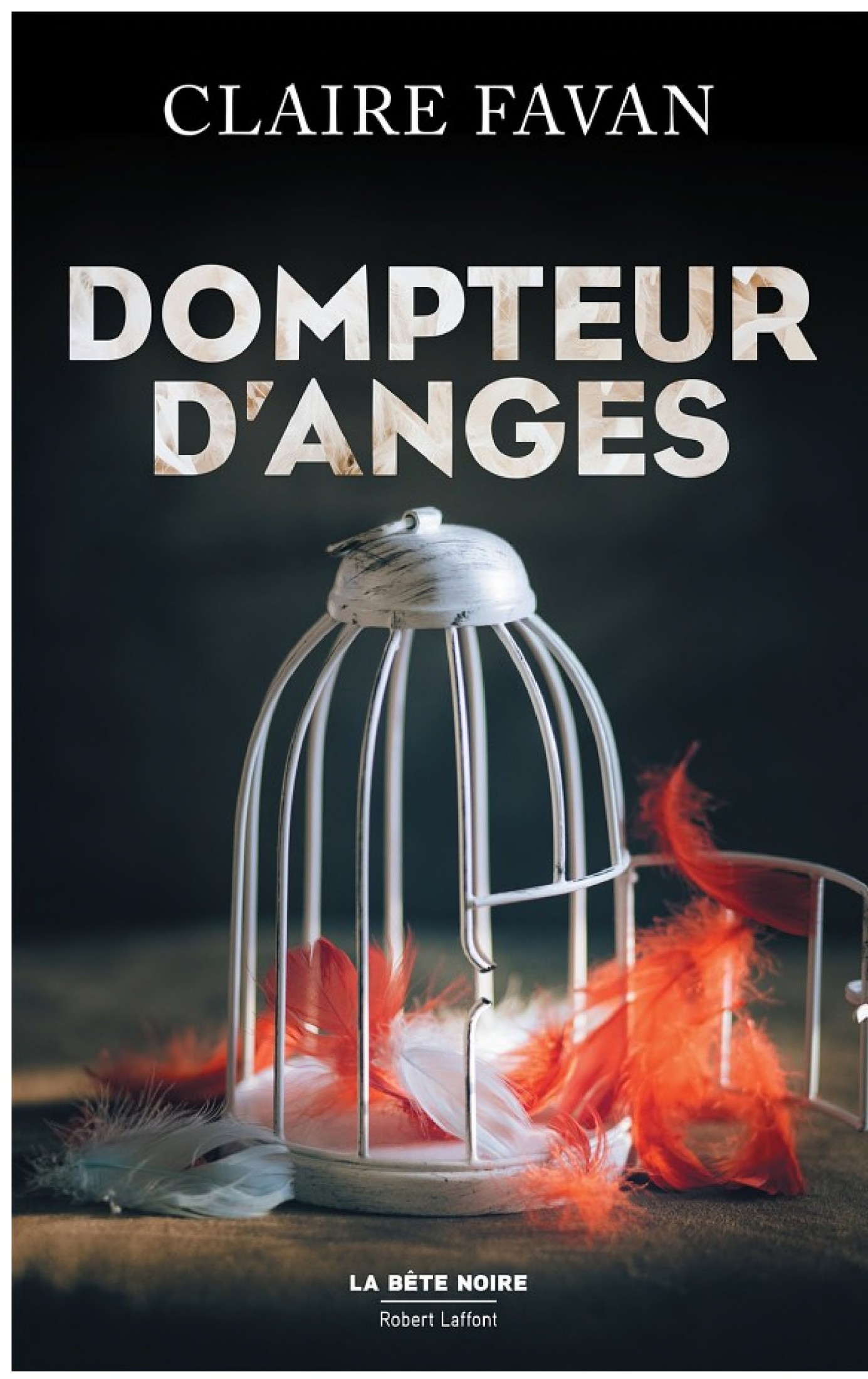 DOMPTEUR D'ANGES