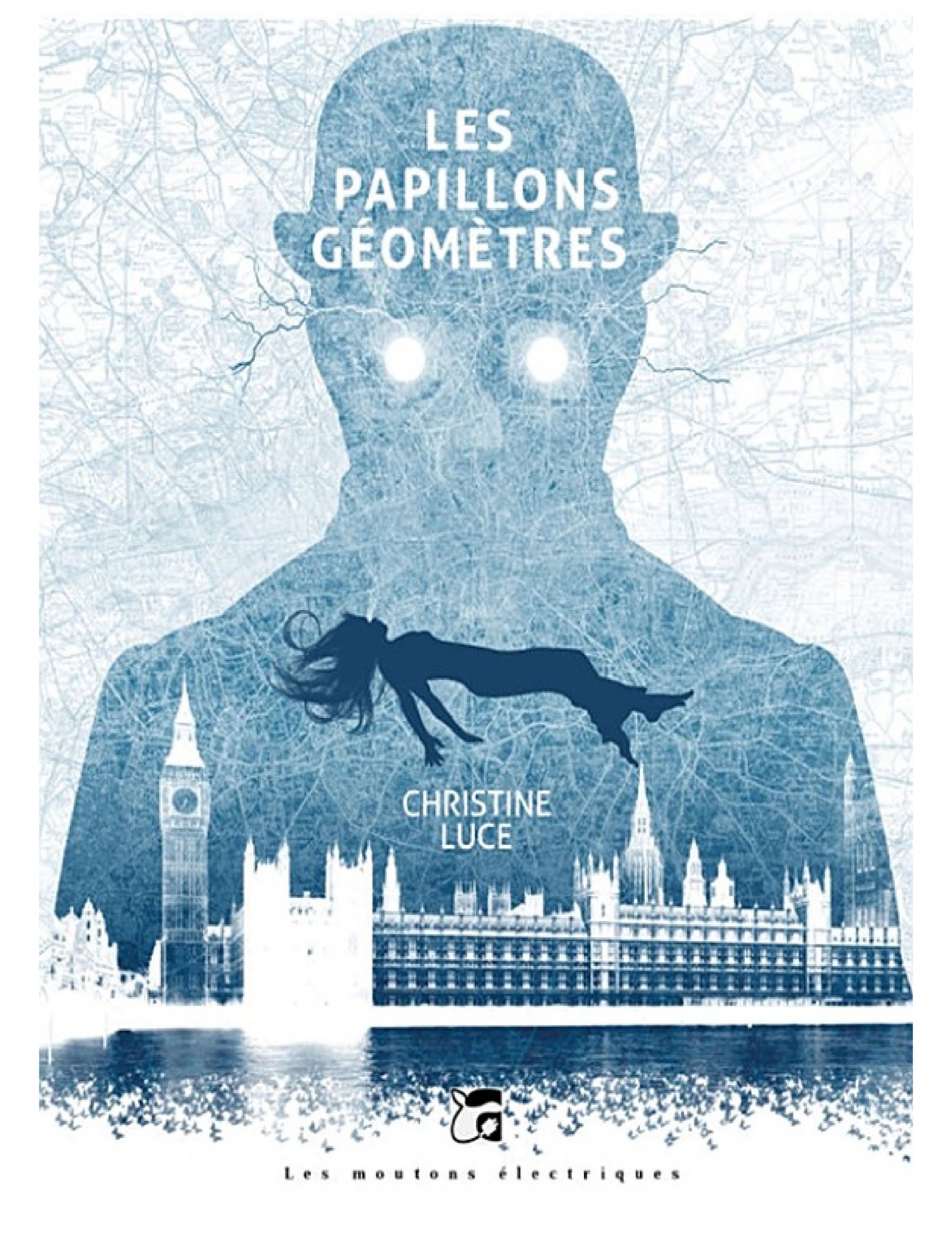 Les papillons géomètres