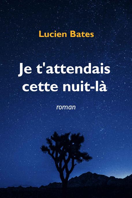 Je t'attendais cette nuit-là