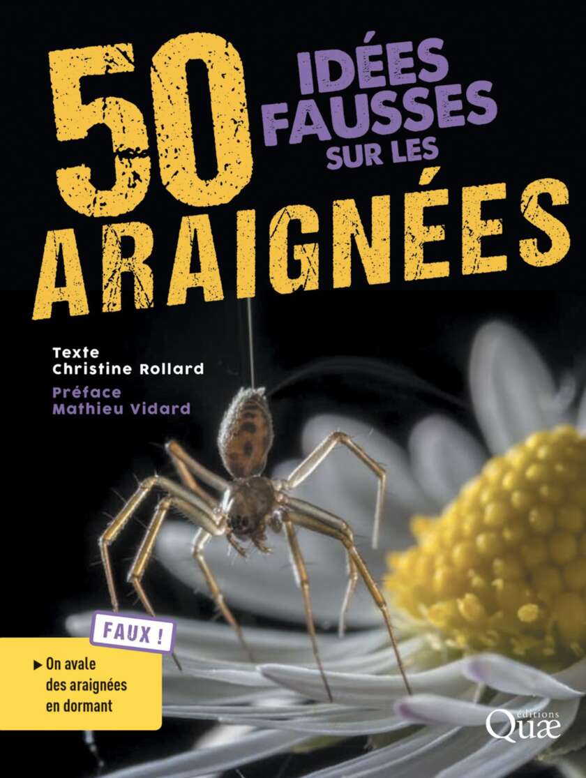 50 idées fausses sur les araignées (French Edition)