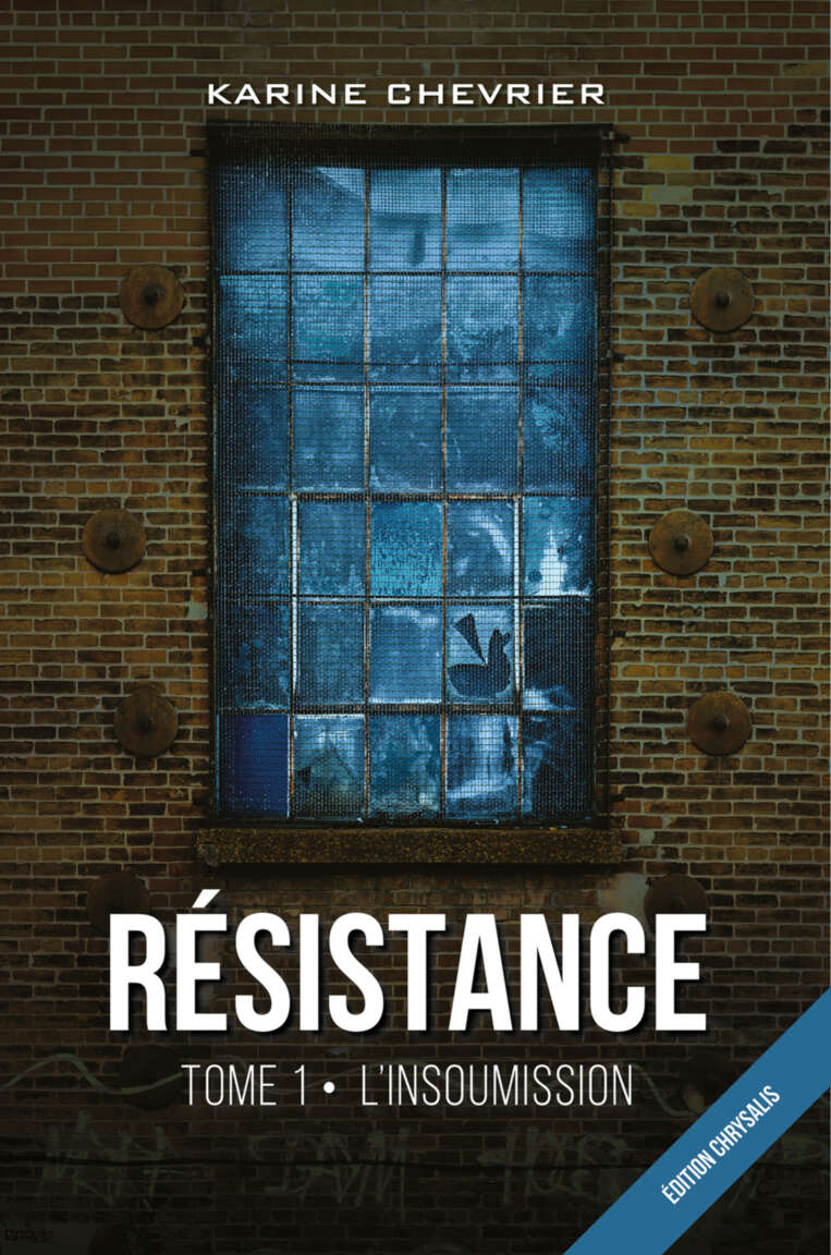 Résistance tome 1 : L'insoumission (French Edition)