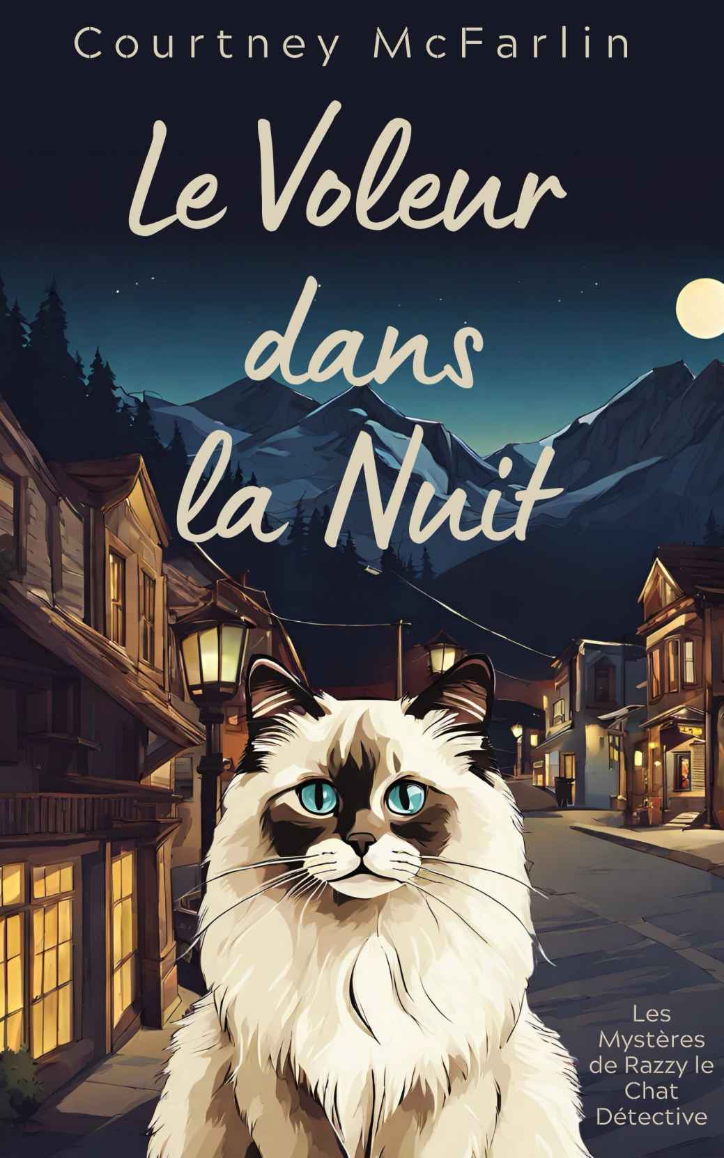 Le Voleur dans la Nuit