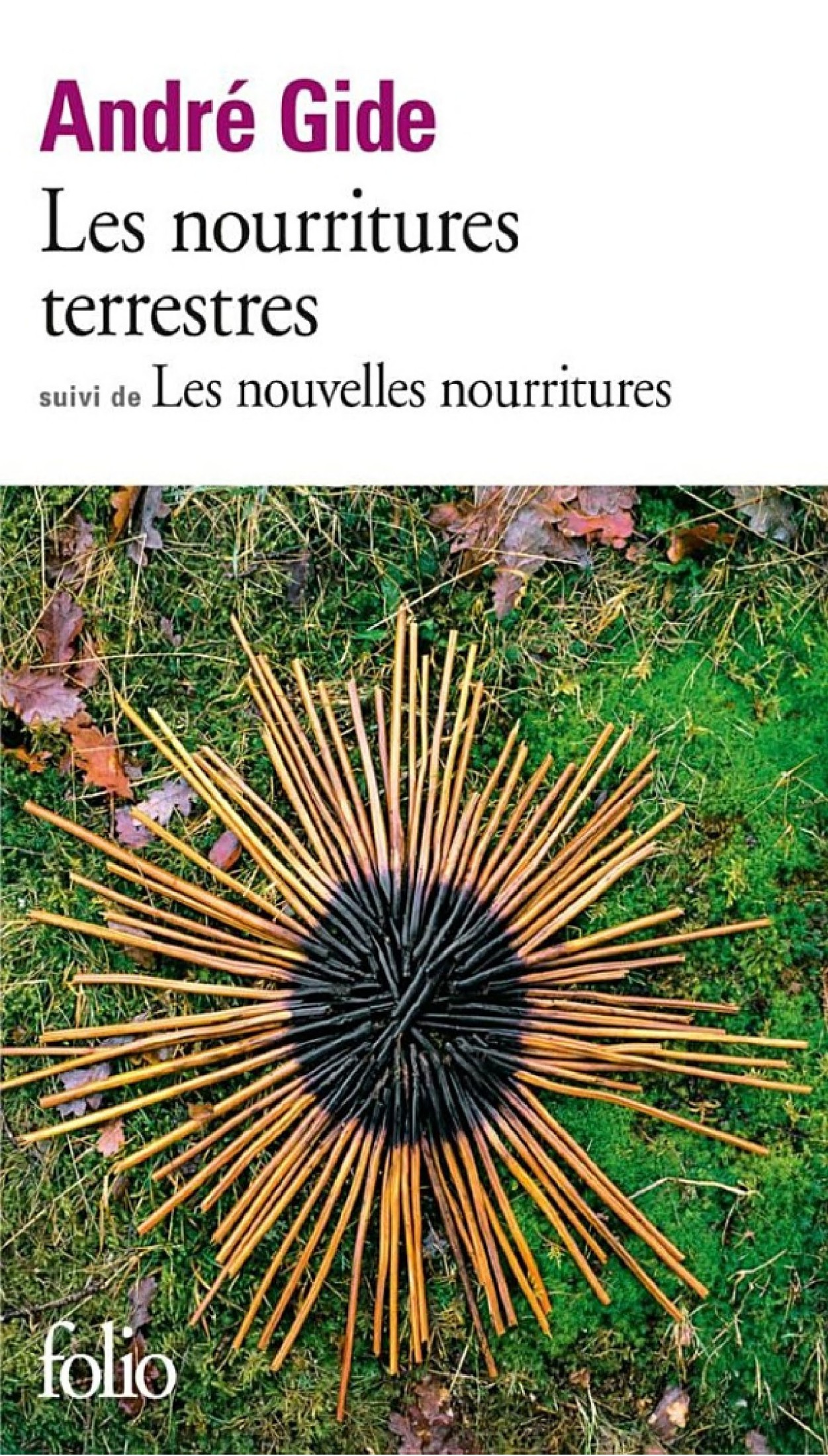 Les nouvelles nourritures terrestres