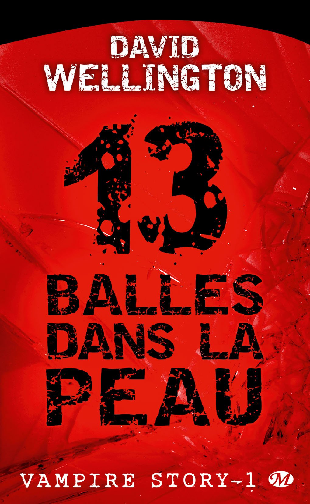 13 balles dans la peau