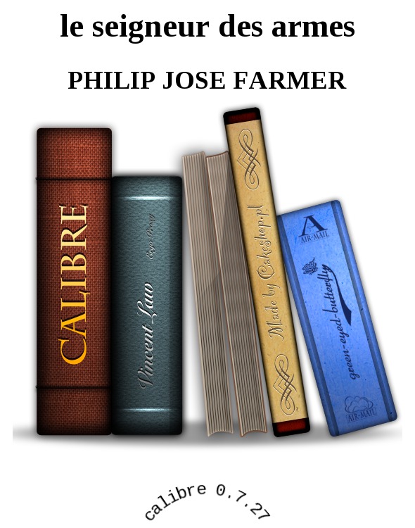 le seigneur des armes