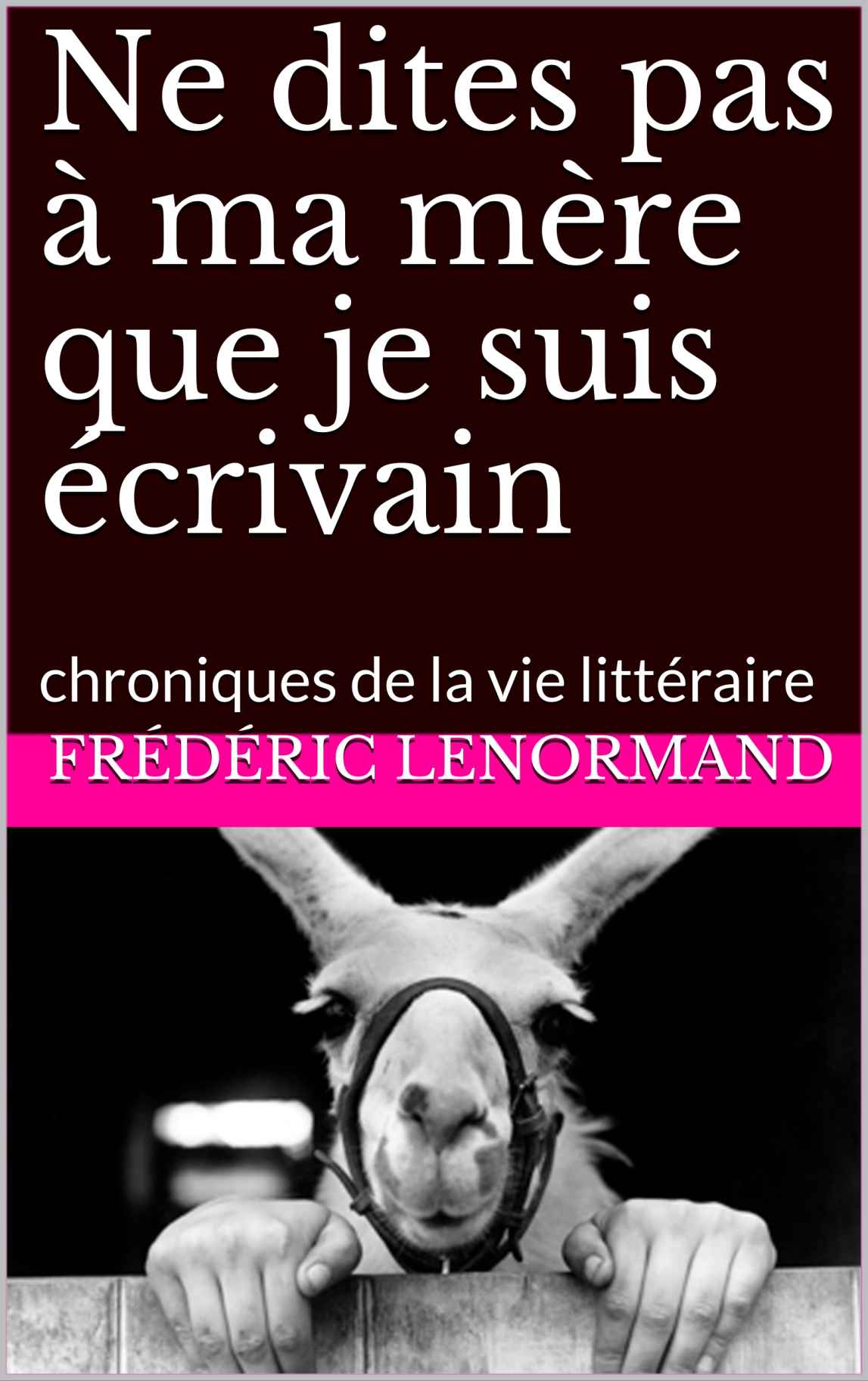 Ne dites pas à ma mère que je suis écrivain: chroniques de la vie littéraire