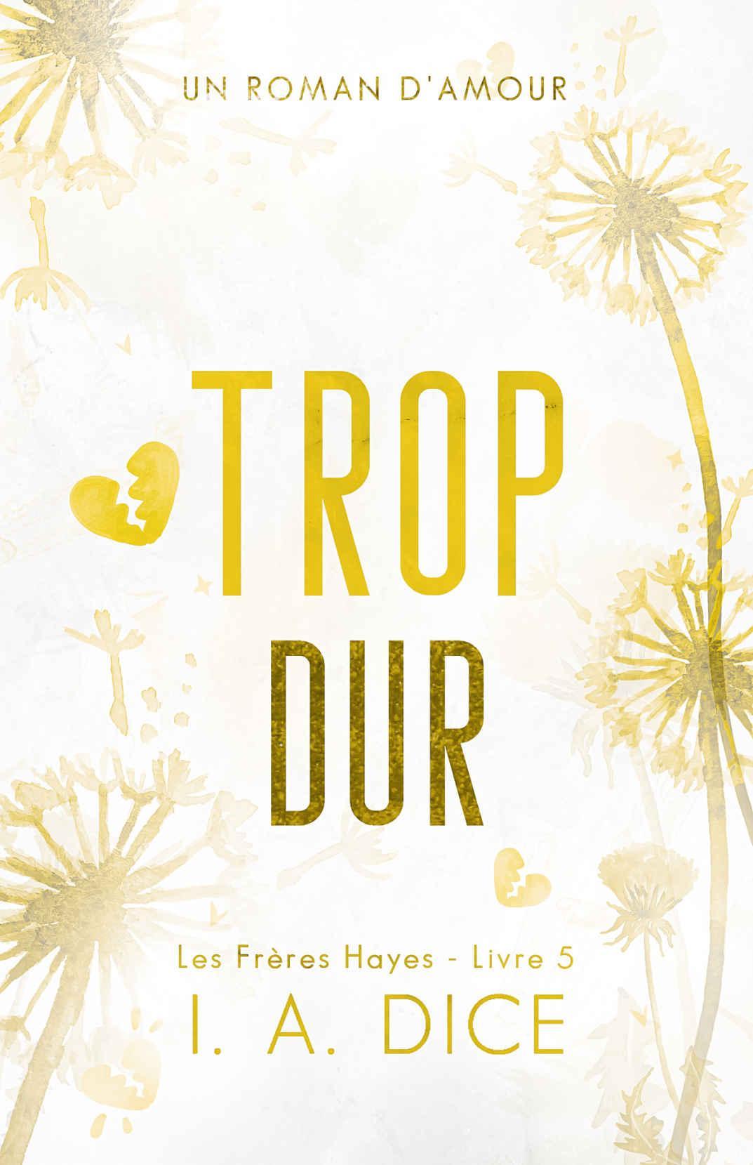Les frères Hayes T5 : Trop dur
