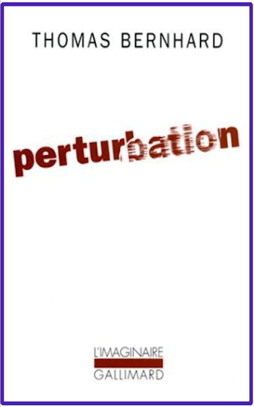 Perturbation
