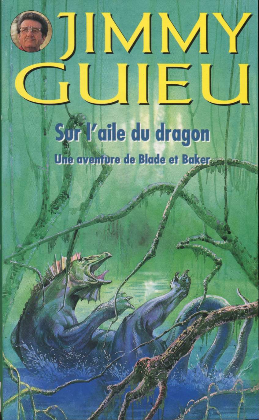 Sur l'aile du dragon