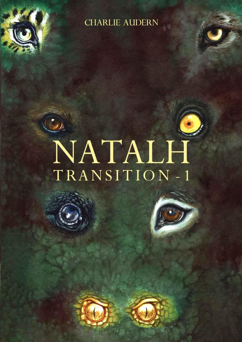 Transition 1