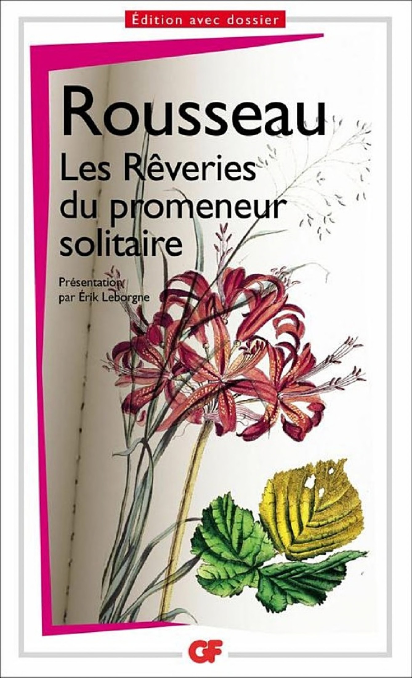 Les rêveries du promeneur solitaire - Rousseau