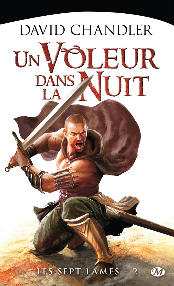 Un voleur dans la nuit