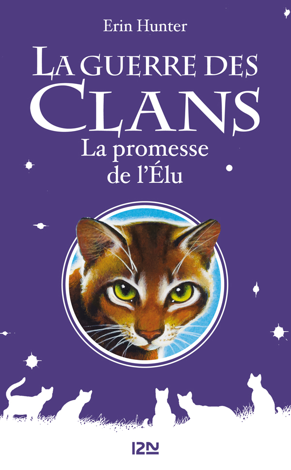 La guerre des Clans III, 06,5 - HS La promesse de l’Élu