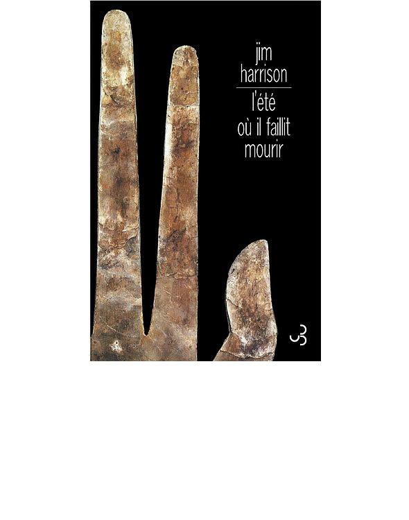 L'été où il faillit mourir
