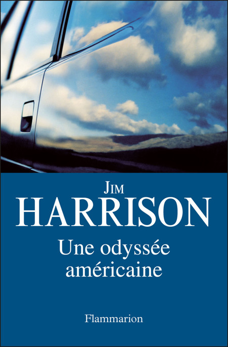 Une odyssée américaine: roman