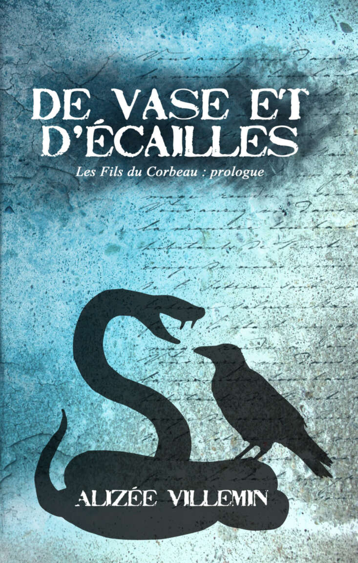 De vase et d'écailles (French Edition)