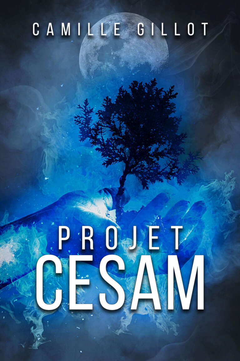 Projet CESAM (French Edition)
