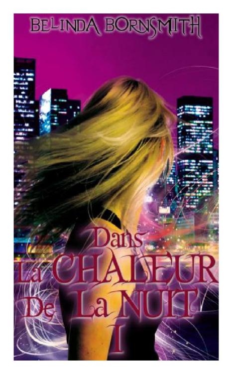 Dans la Chaleur de la Nuit I