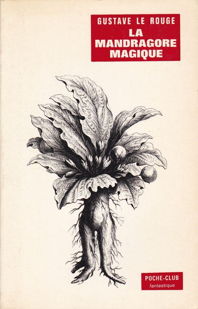La Mandragore magique