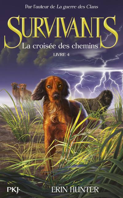 Les Survivants - 04 - La croisée des chemins