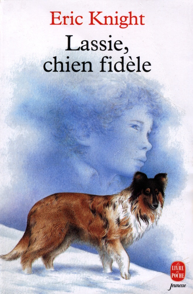 Lassie, chien fidèle