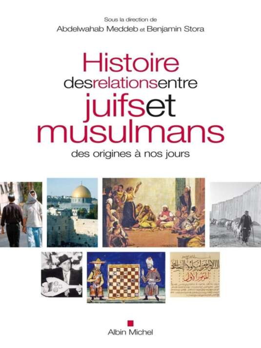 Histoire des Relations entre Juifs et Musulmans des Origines à nos Jours