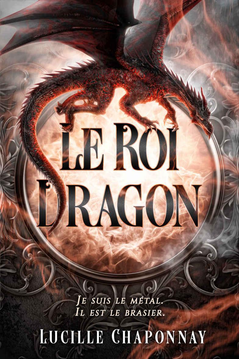 Le Roi Dragon: Une romantasy One-Shot (French Edition)