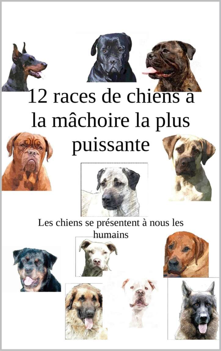 12 races de chiens à la forte mâchoire (French Edition)