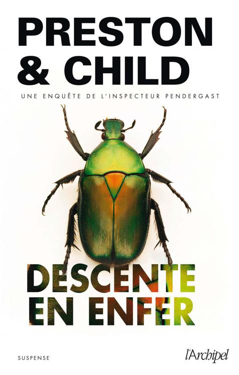 Descente en enfer (Suspense) (French Edition)