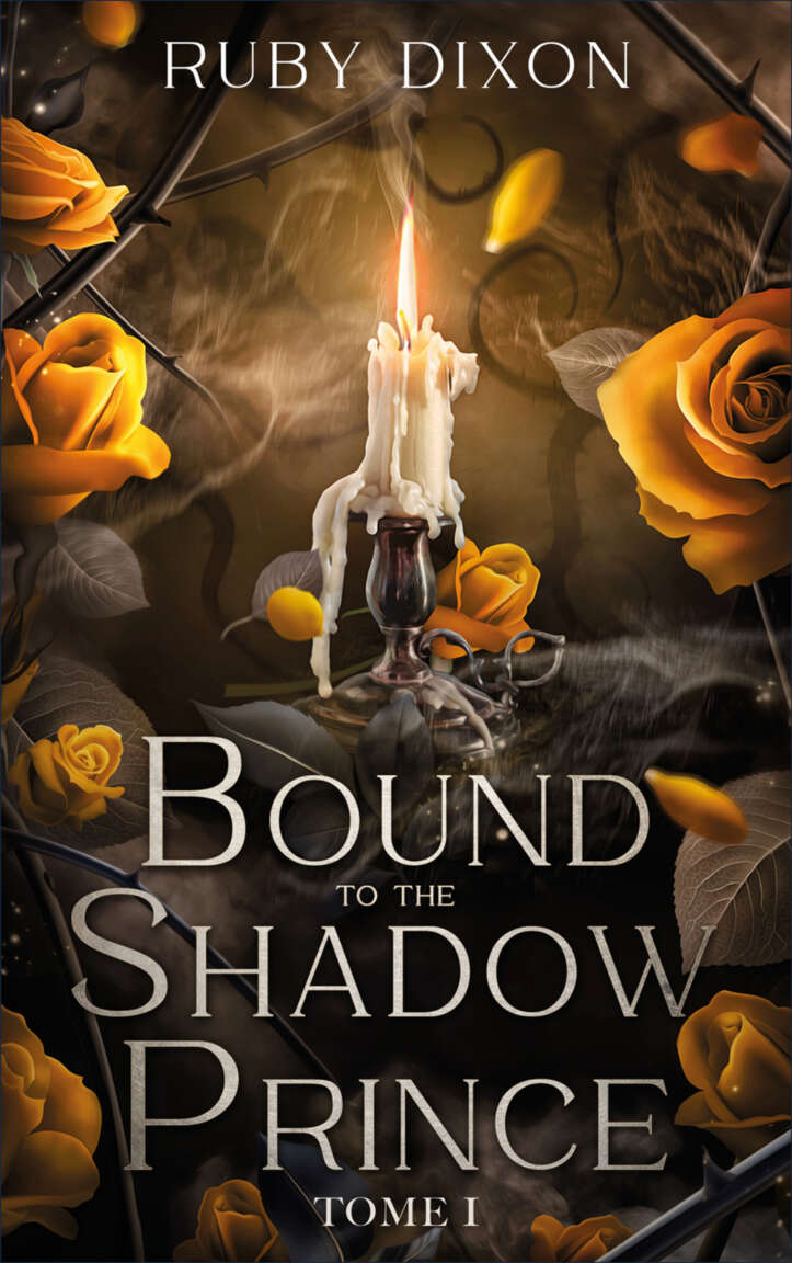 Bound to the shadow prince - Tome 1 : Par l'autrice des Ice Planet Barbarians (Romantasy) (French Edition)