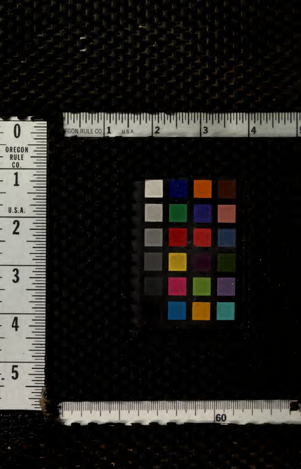 La construction du poulailler avec plans gnraux et dtaills