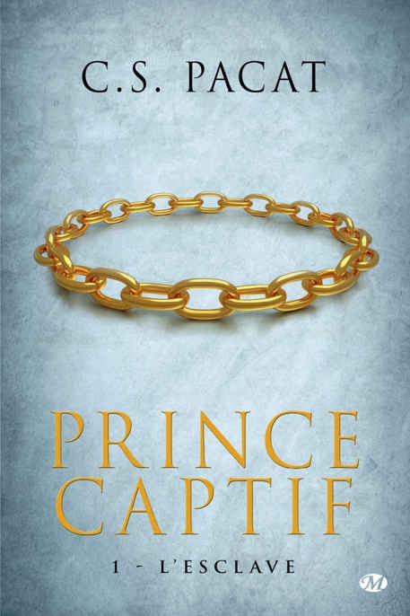 Prince Captif 01 L'esclave