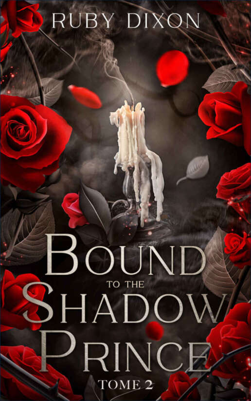 Bound to the shadow Prince - tome 2 : Par l'autrice des Ice Planet Barbarians (Romantasy) (French Edition)