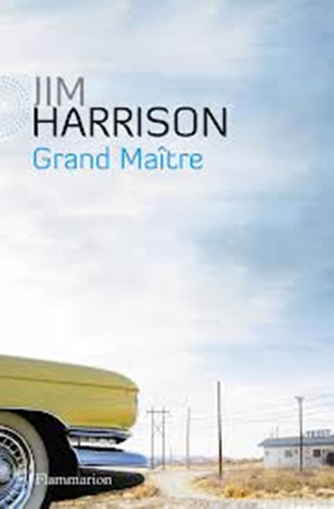 Grand Maître: (faux roman policier)