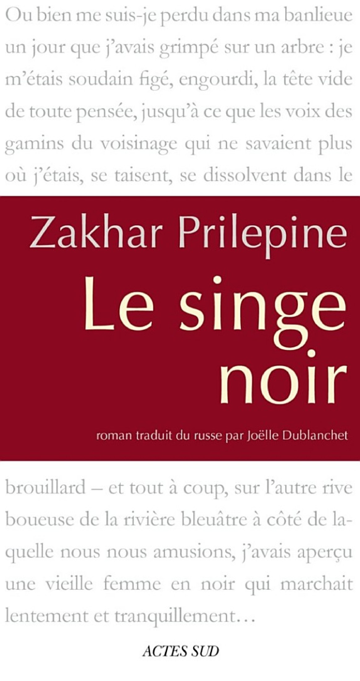 Le singe noir
